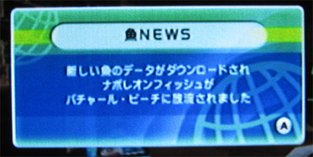 ナポレオンフィッシュが放流されました