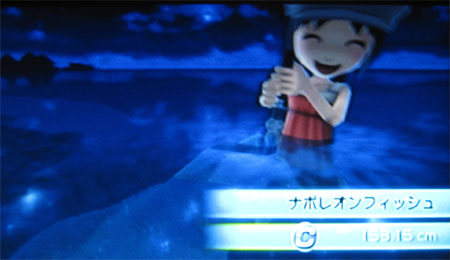 ナポレオンフィッシュ釣れました