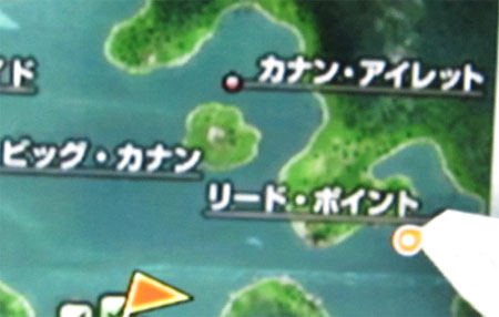 カットスロートトラウトはリード・ポイントのこの辺