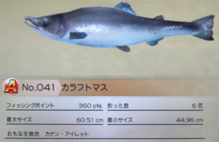 カラフトマス タックルM