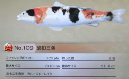 昭和三色　タックルM