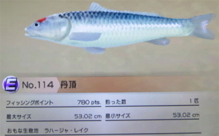 丹頂　タックルM
