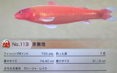 赤無地 タックルM