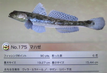 マハゼ タックルM