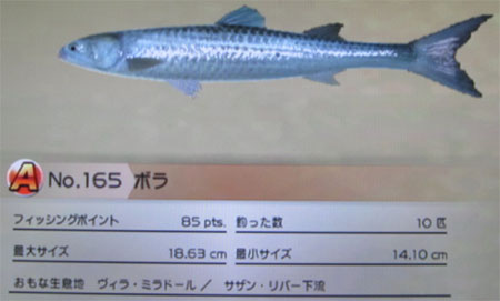 ボラ タックルM