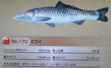 マゴイ タックルM