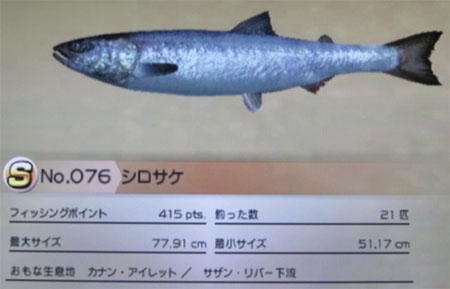 シロサケ タックルM~L