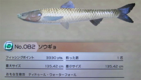 ソウギョ タックルL