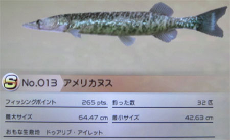 アメリカヌス タックルM