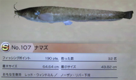 ナマズ タックルM