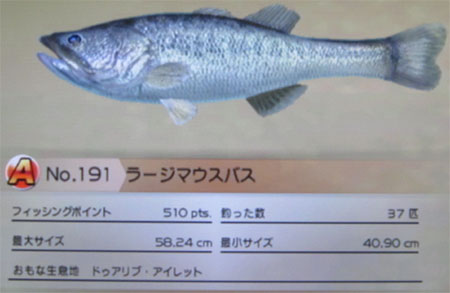 ラージマウスバス タックルM