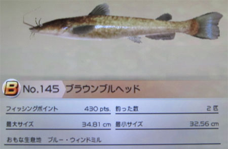ブラウンブルヘッド タックルS~M