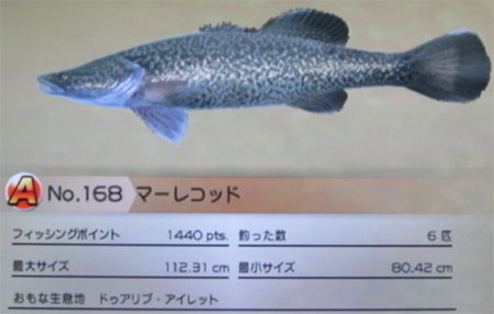マーレコッド タックルL