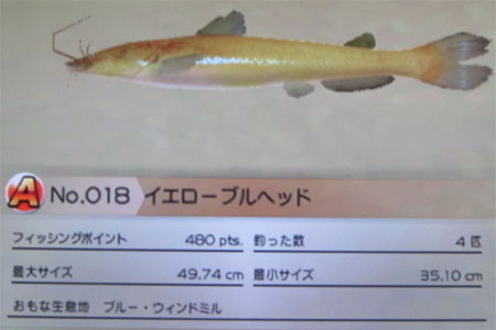 イエローブルヘッド タックルM