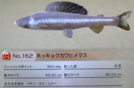 ホッキョクカワヒメマス タックルM
