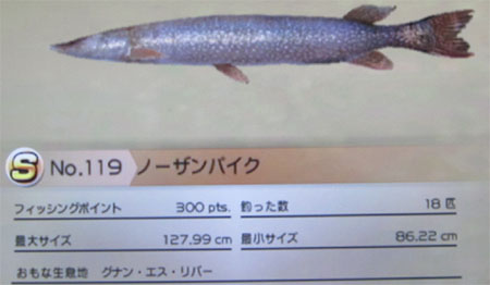 ノーザンパイク タックルL