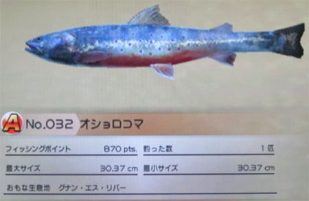 オショロコマ タックルM