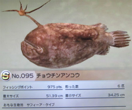 チョウチンアンコウ タックルS~M