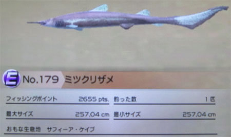 ミツクリザメ タックルL