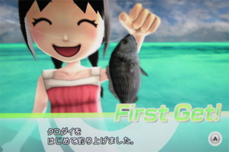 クロダイ