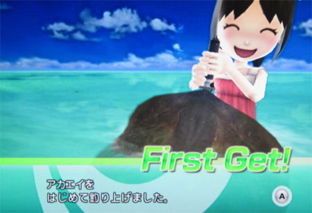 アカエイ