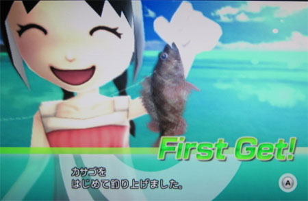 カサゴ