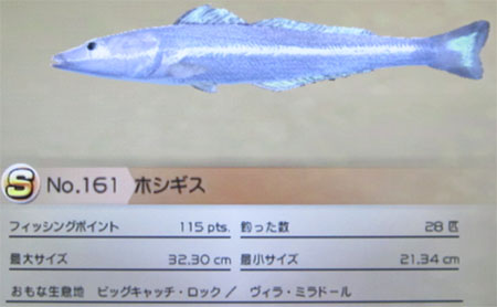 ホシギス タックルS~M