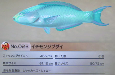 イチモンジブダイ タックルM