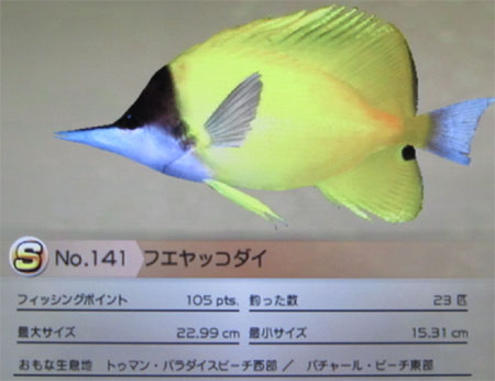 フエヤッコダイ タックルS