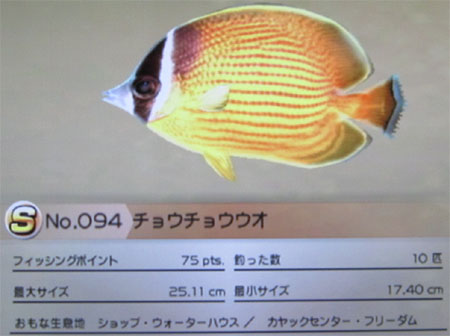 チョウチョウウオ タックルM