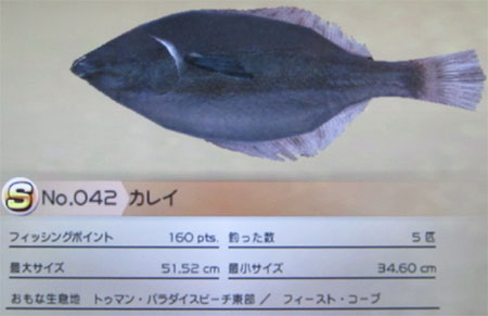 カレイ タックルM