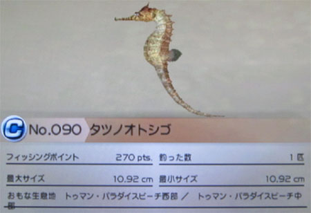 タツノオトシゴ タックルS