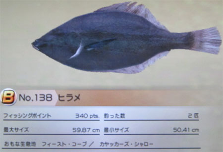 ヒラメ タックルM