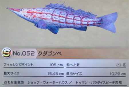 クダゴンベ タックルS