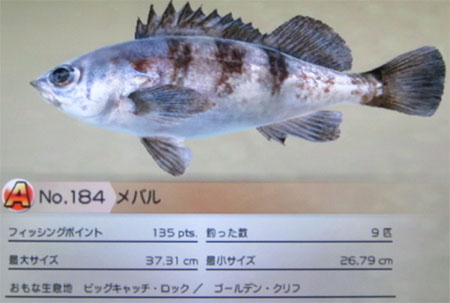 メバル タックルM