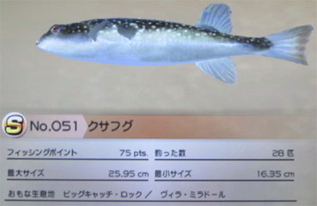 クサフグ タックルS~M