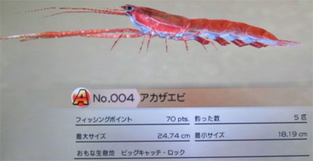アカザエビ タックルS~M