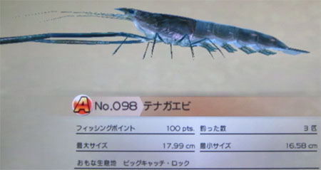テナガエビ タックルM