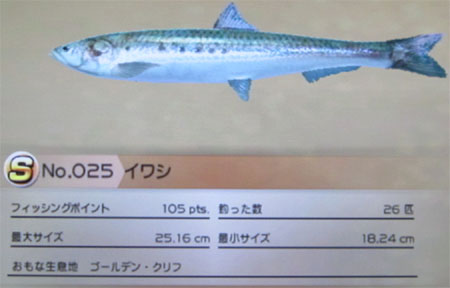 イワシ タックルM
