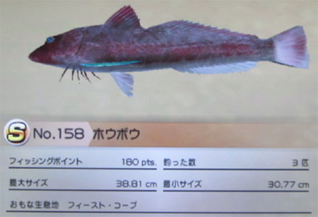 ホウボウ タックルM