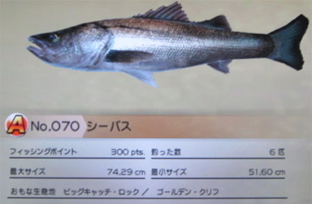 シーバス タックルM