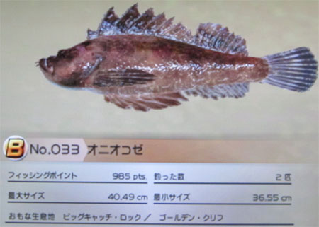 オニオコゼ タックルM