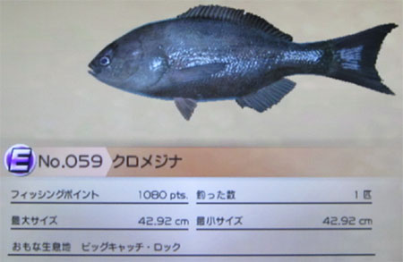 クロメジナ タックルM