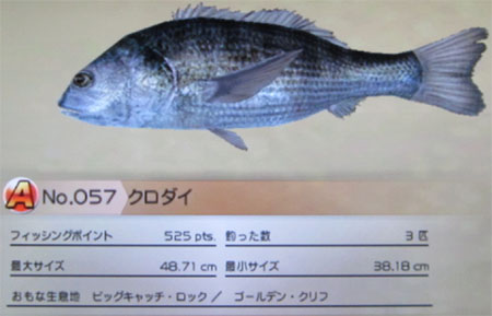 クロダイ タックルM