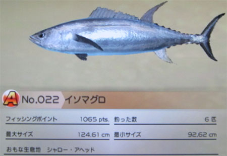 イソマグロ タックルL