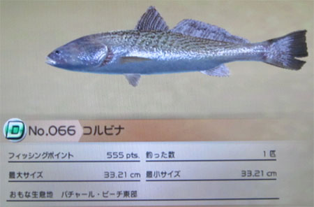 コルビナ タックルM