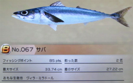 サバ タックルS~M