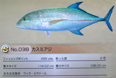 カスミアジ タックルL