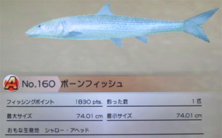 ボーンフィッシュ タックルM