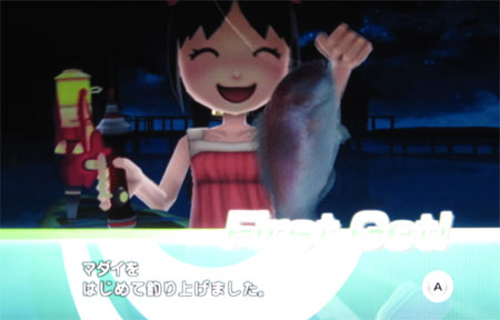 マダイ